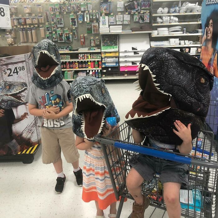 Is It Cool If I Spend The Entire Grocery Budget On Dinosaur Heads? Asking For A Friend
