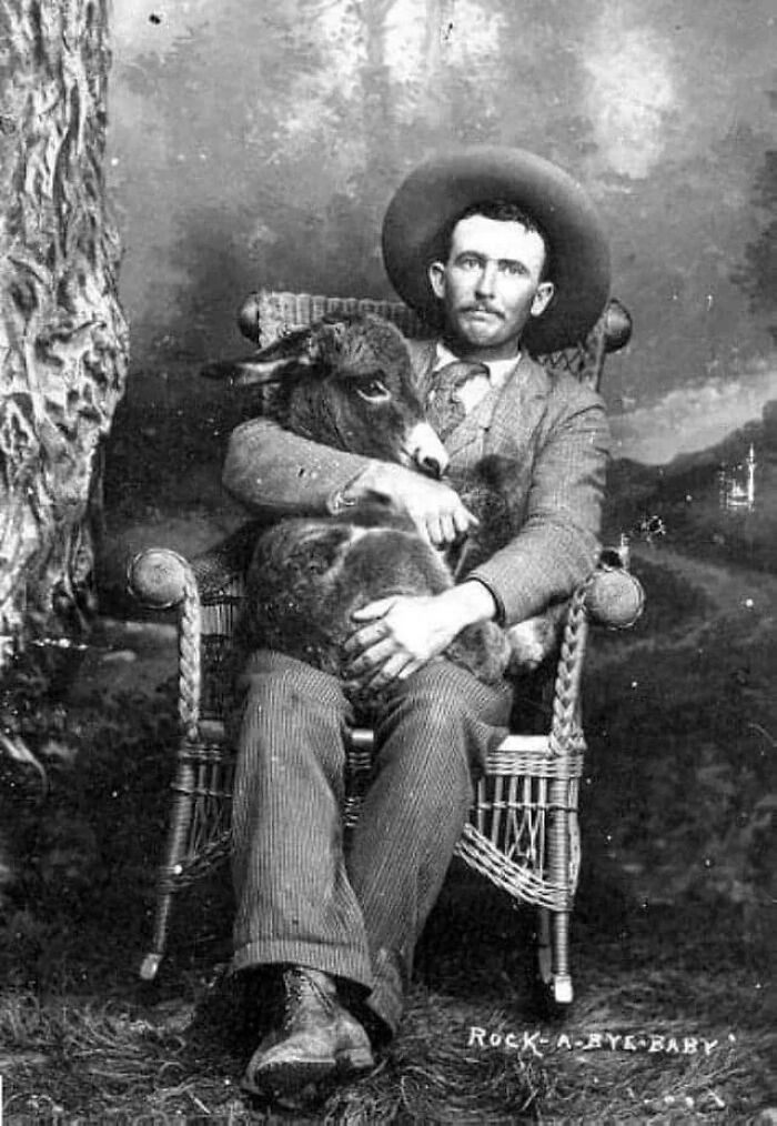 A Man Posing With A Donkey In His Lap, Ca. 1910s