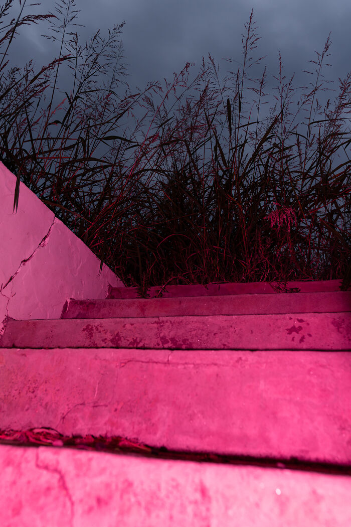 Pink Stair Case