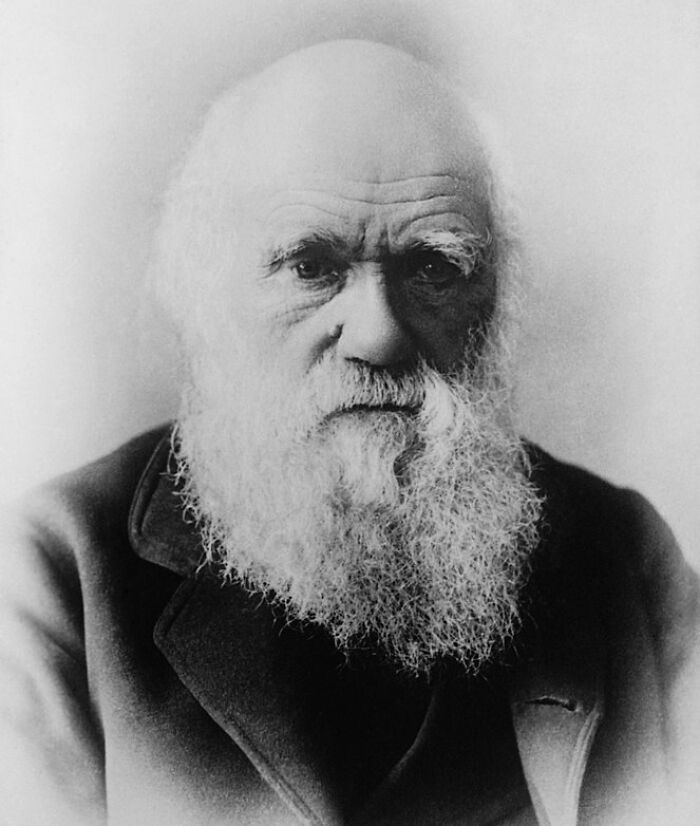 180 Bar Trivia Questions We Just Can't Wait To Answer