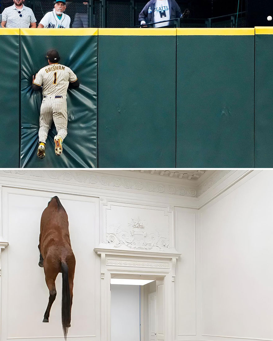 "Untitled (Taxidermy Horse In Wall)" By Maurizio Cattelan, 2007