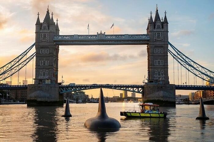 Meg2 - Huge Sharks In River Thames