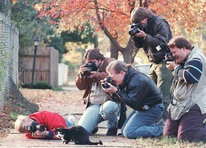 Paparazzi Take Pictures Of Bill Clinton's Cat Named Socks, 1992