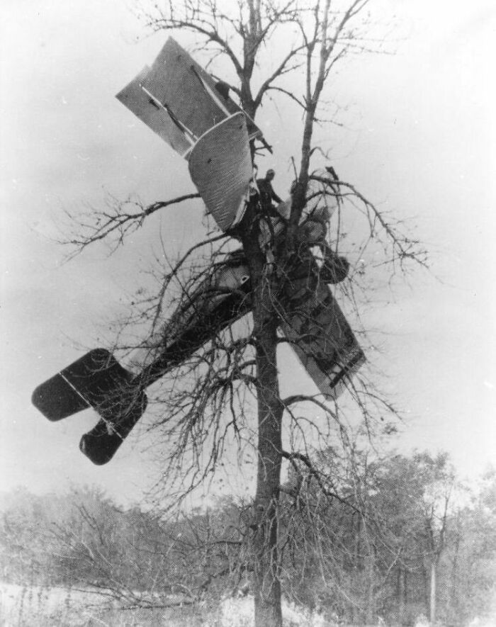 Stunt Pilot Howard Casterline Crashes His Plane "Jennie" Into A Tree In Hartford City, Indiana, Ca. 1920s. He Survived In The Crash