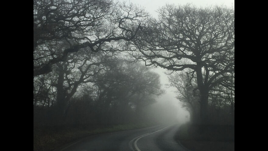 My Phone Photography Tips (33 Pics) My Phone Photography Tips (33 Pics)