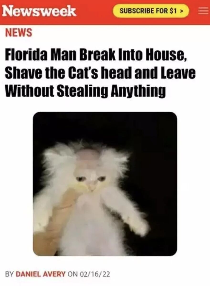 I Searched Up &lsquo;Cursed Images&rsquo; On Google. Here Are Some Of My Favourites!