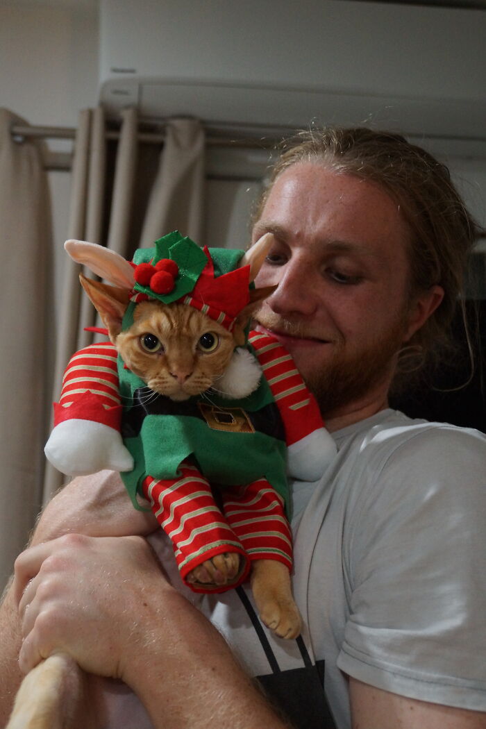 Whisky Tango Can't 'Elf' Himself