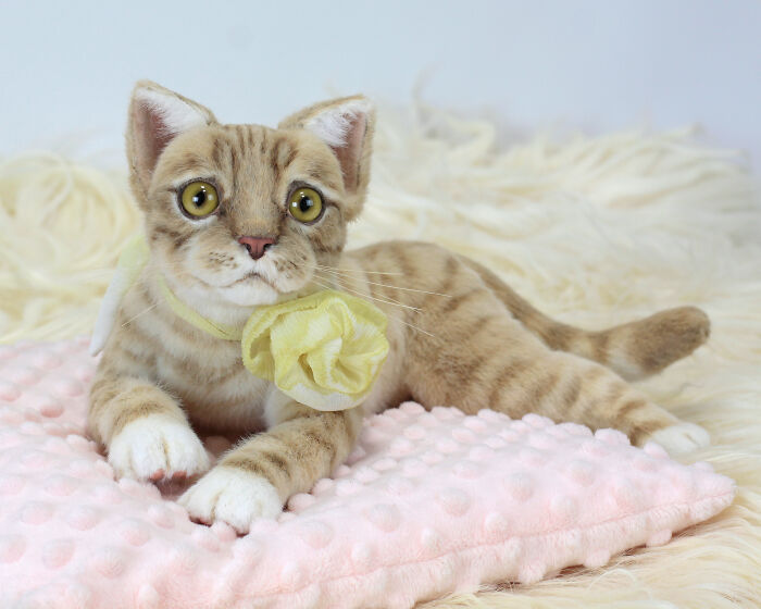 Discover The Magic: My Handcrafted Plush Kitten Discover The Magic: My Handcrafted Plush Kitten