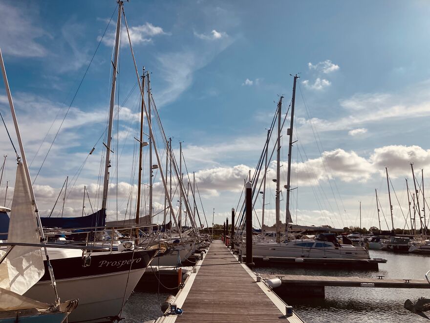 My Phone Photography Tips (33 Pics) My Phone Photography Tips (33 Pics)