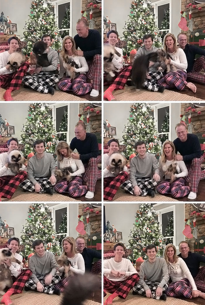 Many Unsuccessful Attempts To Get A Family Photo With A New Puppy And Two Cats Who Hate Her