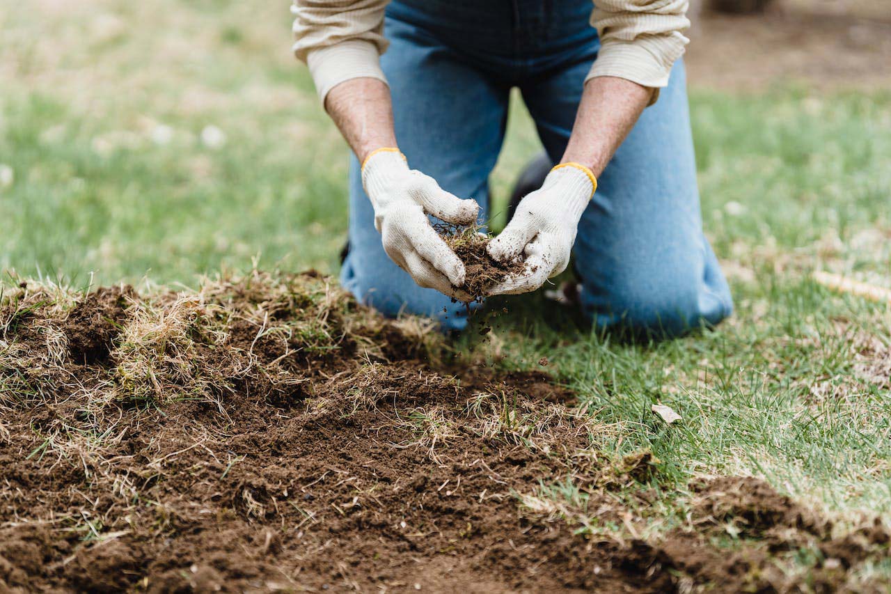 Gardener preparing soil for planting