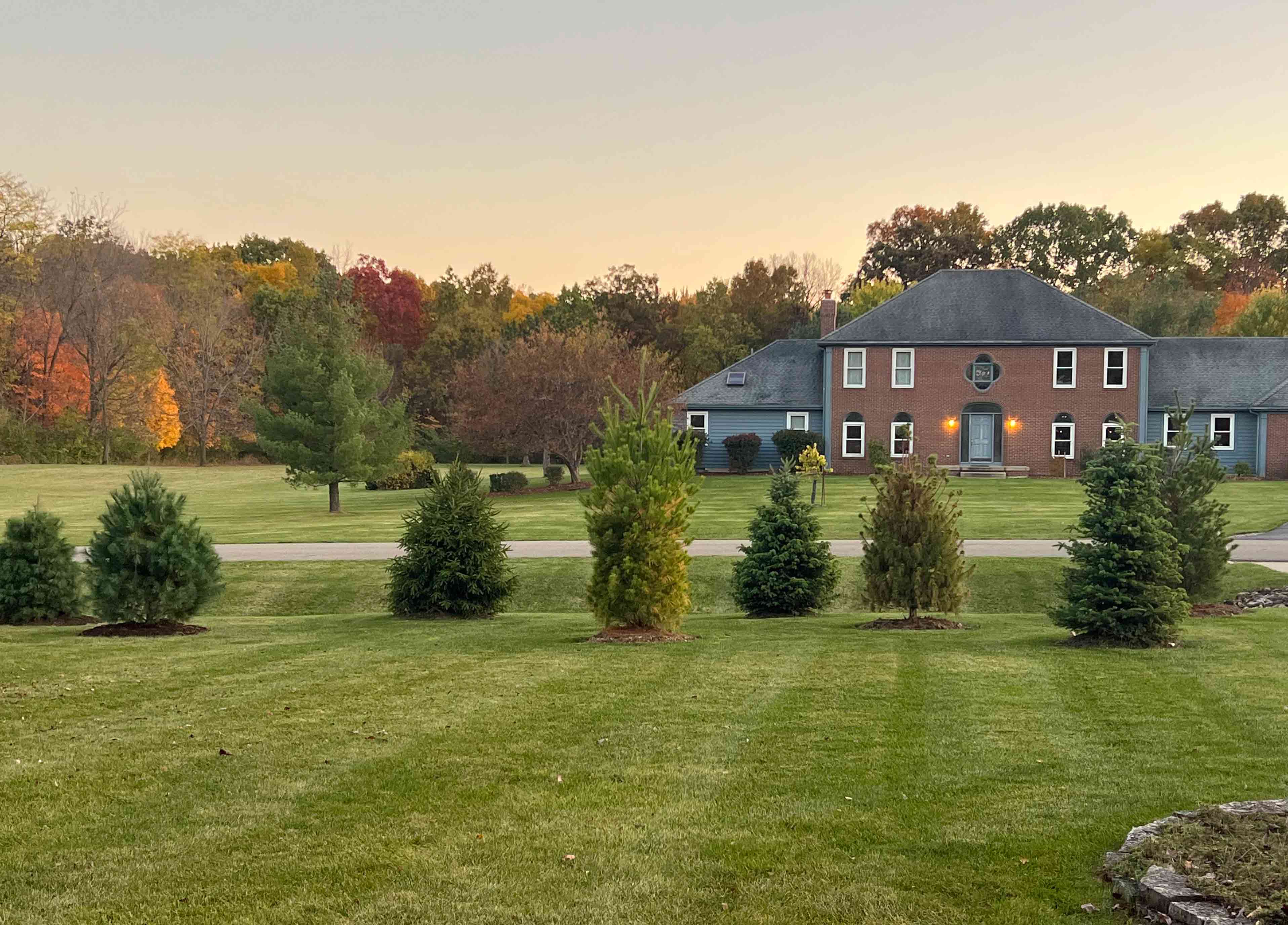 House with lawn and 8 evergreens (White pine, Cannon firs, Norway spruce) House with lawn and 8 evergreens (White pine, Cannon firs, Norway spruce)