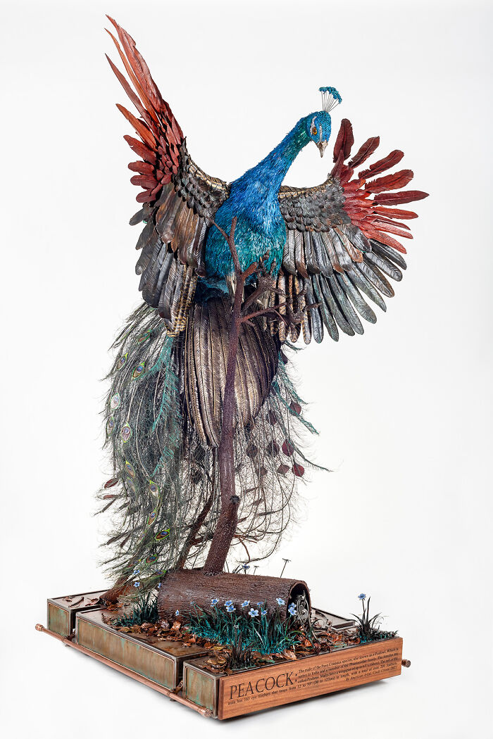 I Spent A Year Making This Life-Sized Peacock Sculpture One Feather At A Time