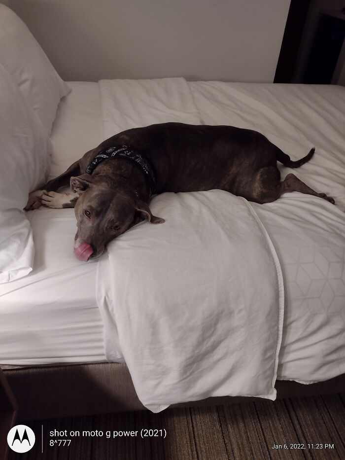 Grae'son Loves Going To Stay At A Motel/Hotel, Especially When We Get A Room With Two Beds!
