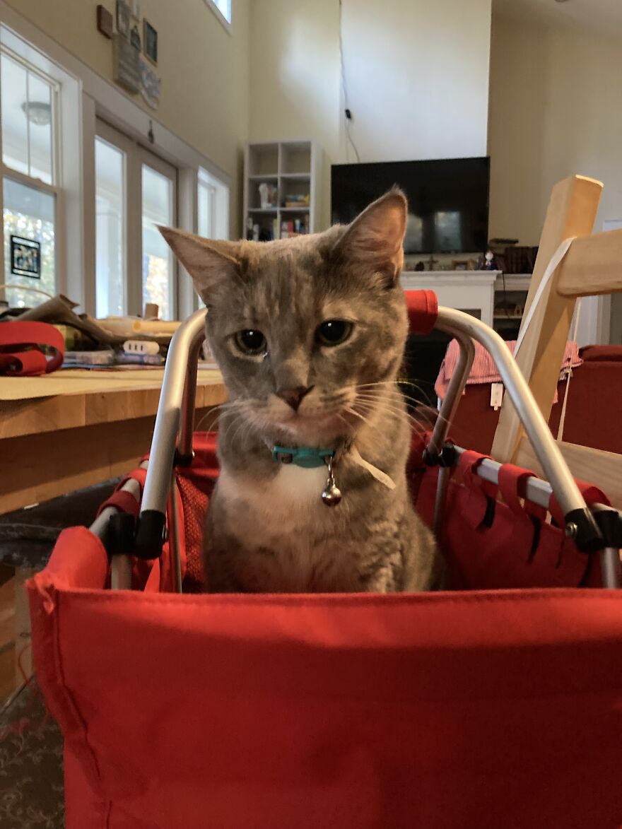 Hi Pandas Show Me Some Of The Worst Design Fails You’ve Seen