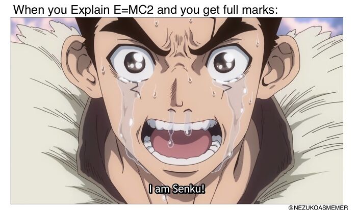 No ‘I Am Senku’