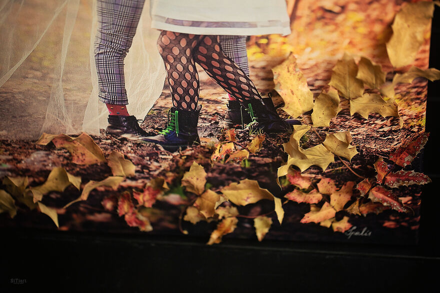 Love Speaks: The Cycle Of 12 Works Love Speaks: The Cycle Of 12 Works