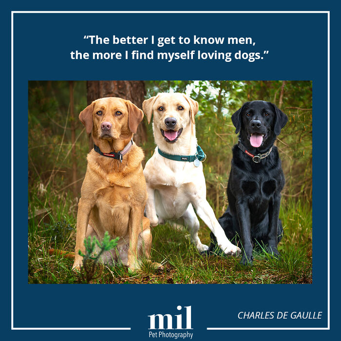 Charles De Gaulle - "The Better I Get To Know Men, The More I Find Myself Loving Dogs"