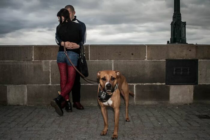 A Photograph Of A Couple With Their Dog