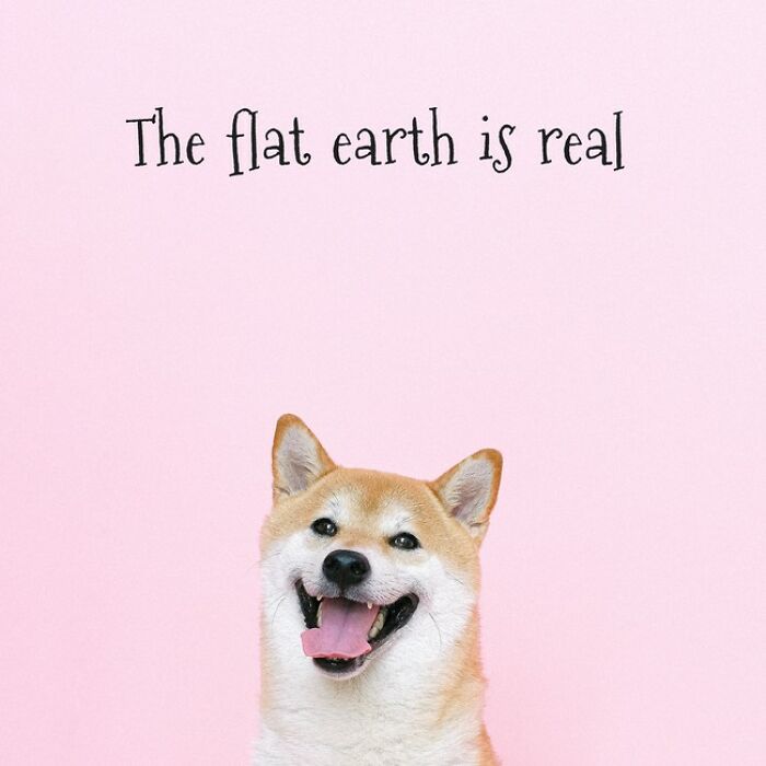 Wrong, Doge. The Earth Is A Pineapple