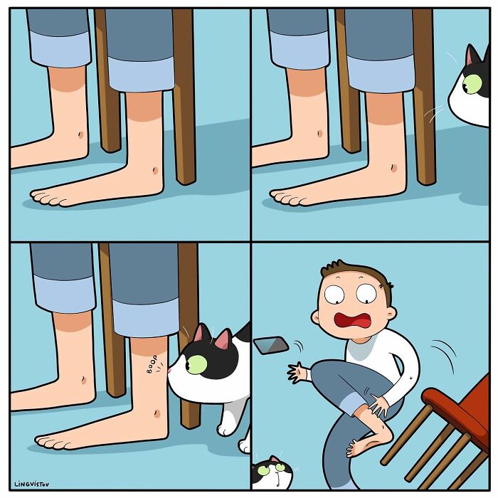 Comic Depicting Life With Cat By Lingvistov