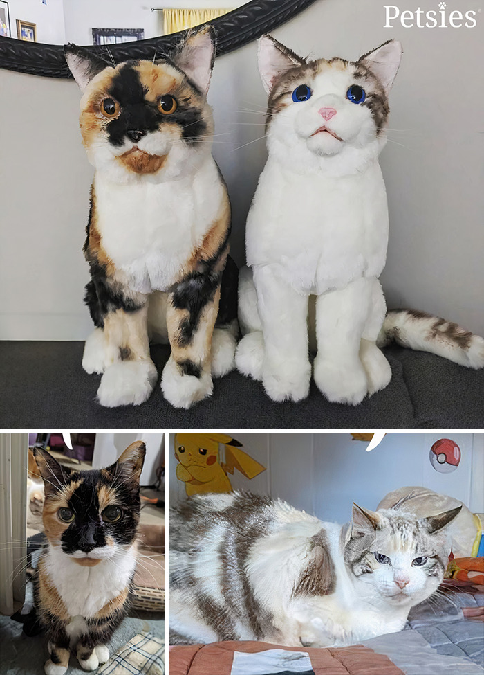 Owners Who Lost Their Pets Receive A Stuffed Clone Of Their Pet (52 New Pics)
