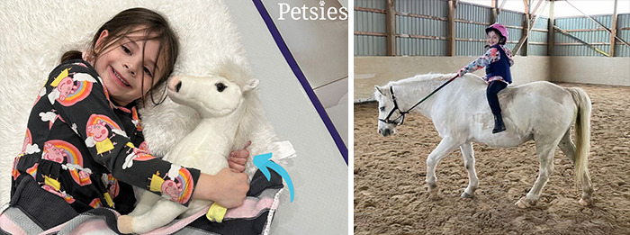 Owners Who Lost Their Pets Receive A Stuffed Clone Of Their Pet (52 New Pics)