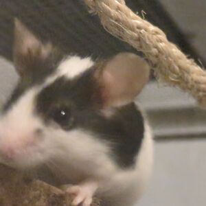 amy_hollingworth avatar