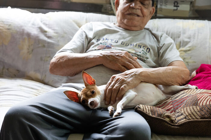 Volunteers Of Paws NY Help These People To Take Care Of Their Pets So That They Won’t Get Separated Volunteers Of Paws NY Help These People To Take Care Of Their Pets So That They Won’t Get Separated