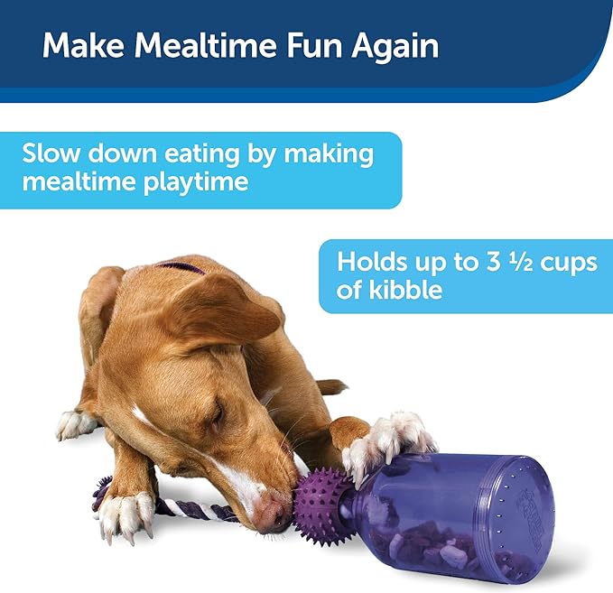 The 12 Best Dog Toys for Boredom – OH Blog