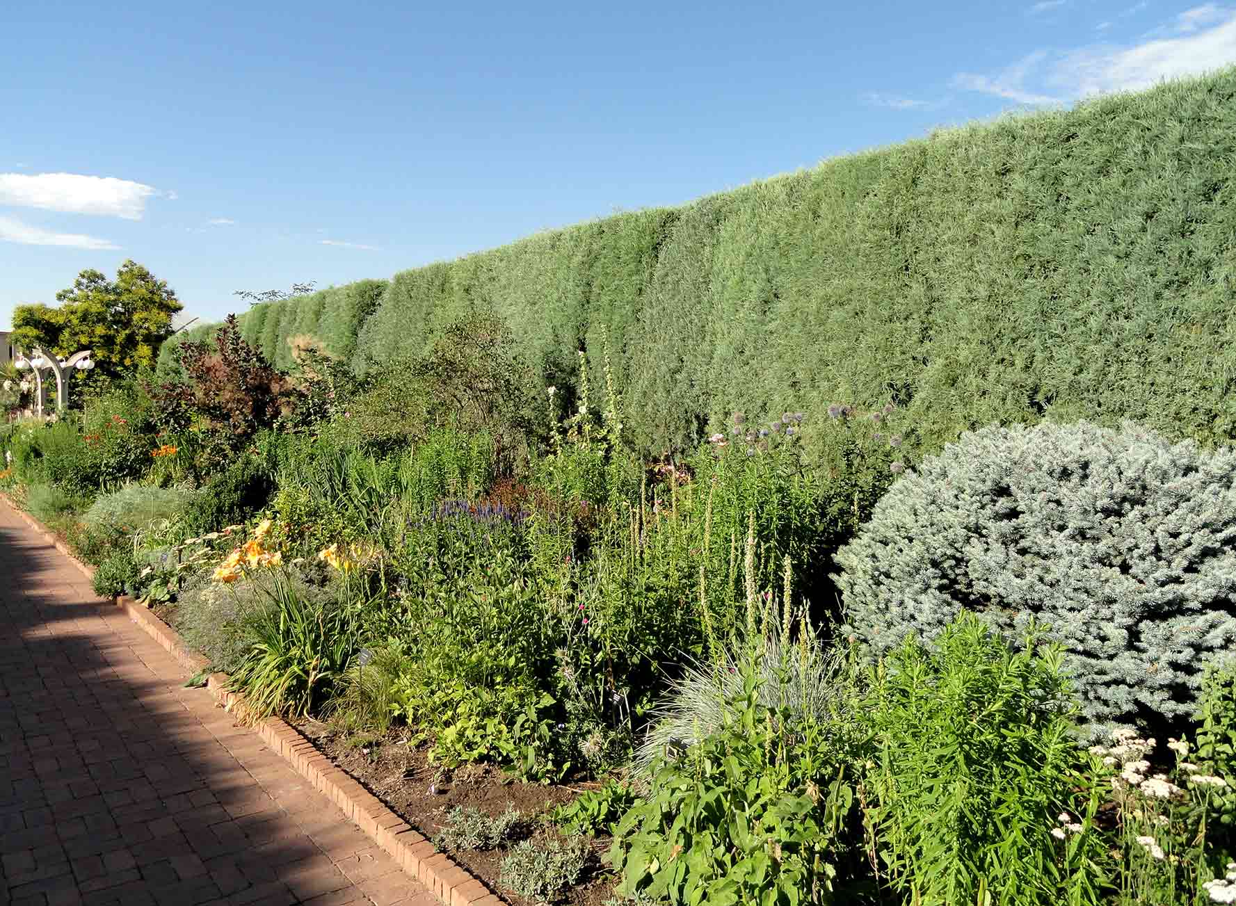 Garden bed next to O’Fallon Perennial Walk, Denver Botanic Gardens, 1007 York Street, Denver, Colorado, USA Garden bed next to O’Fallon Perennial Walk, Denver Botanic Gardens, 1007 York Street, Denver, Colorado, USA