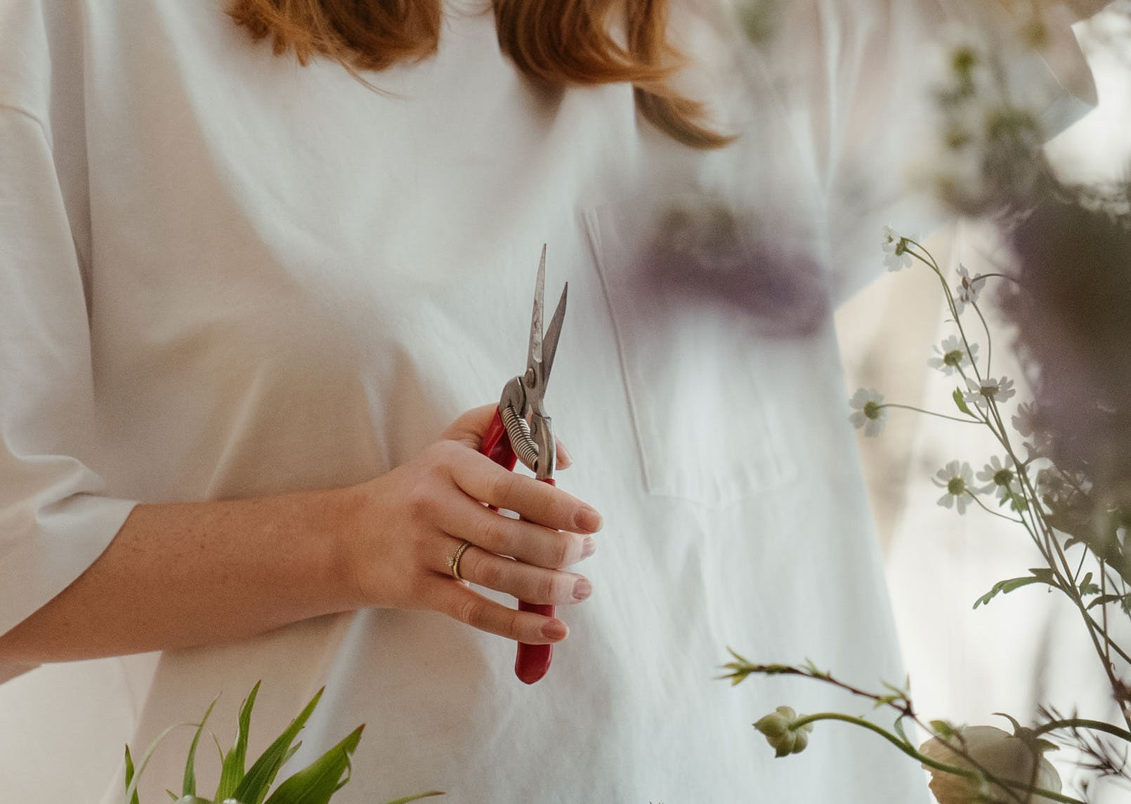 Woman in white long sleeve shirt pruning plants Woman in white long sleeve shirt pruning plants