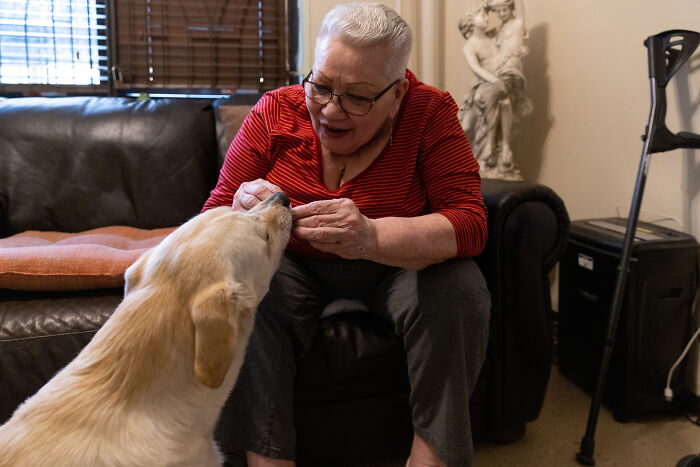 Volunteers Of Paws NY Help These People To Take Care Of Their Pets So That They Won’t Get Separated Volunteers Of Paws NY Help These People To Take Care Of Their Pets So That They Won’t Get Separated