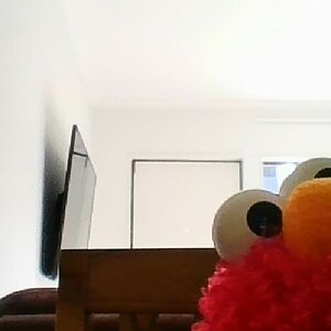 sanitoseniuelitai avatar