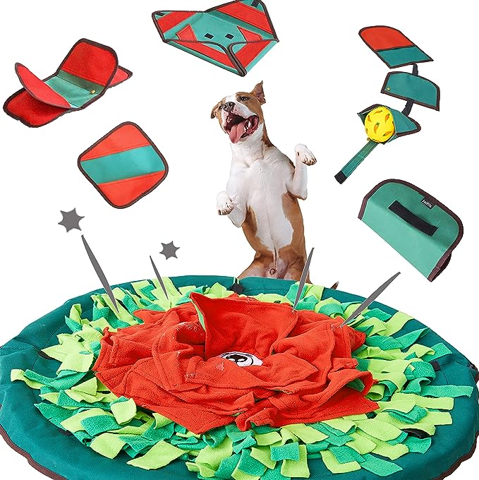 10 Best Puzzle Toys that Actually Help Bored Dogs