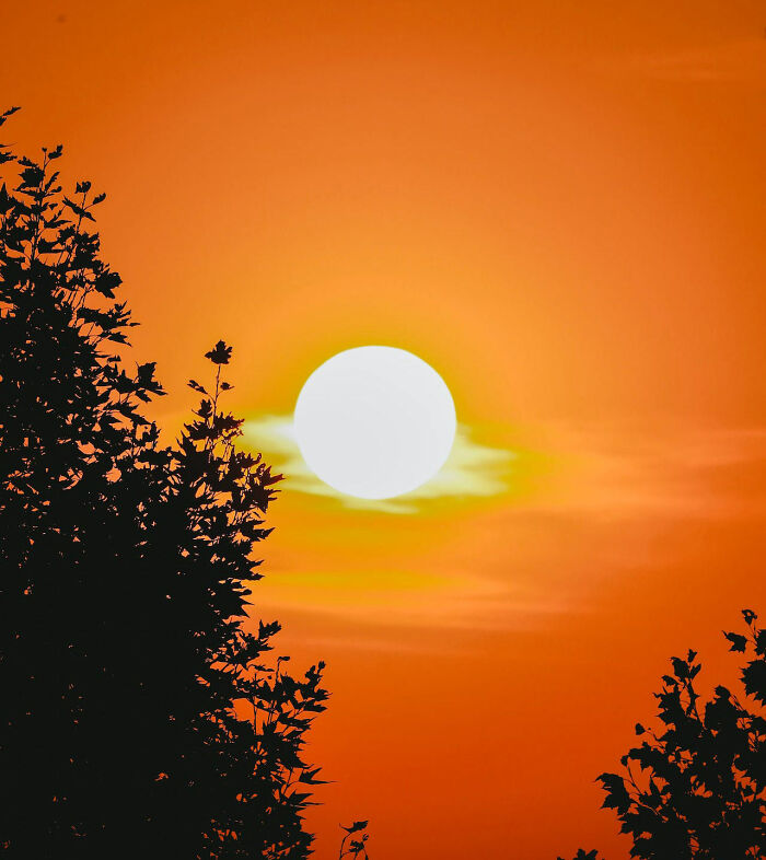 180 Bar Trivia Questions We Just Can’t Wait To Answer Bored Panda