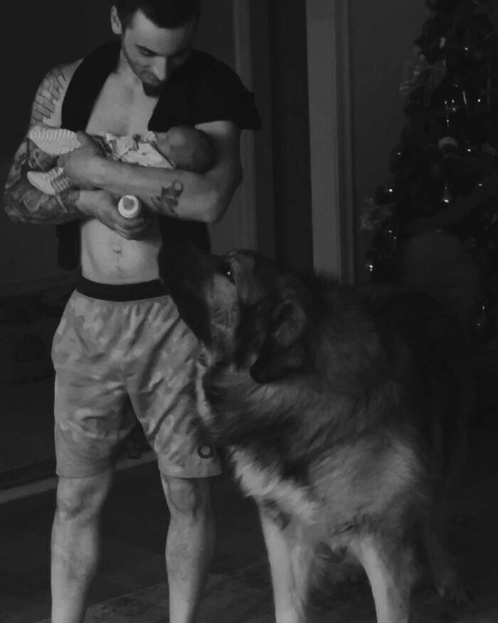 This Family From Boston Shares What It’s Like To Live With A Rare Bear-Like Guardian Dog This Family From Boston Shares What It’s Like To Live With A Rare Bear-Like Guardian Dog