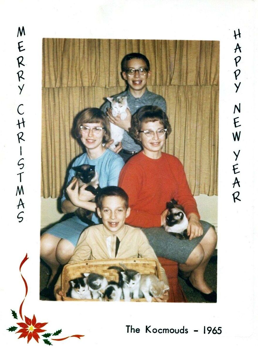 Kocmoud Family With Cats And Kittens, 1965