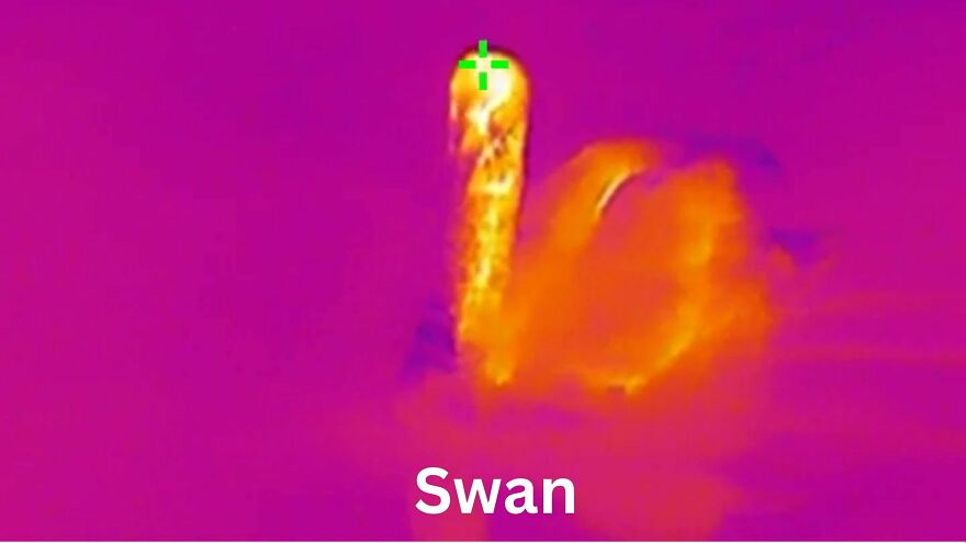 Trying Out A Hikmicro Thermal Monocular Trying Out A Hikmicro Thermal Monocular