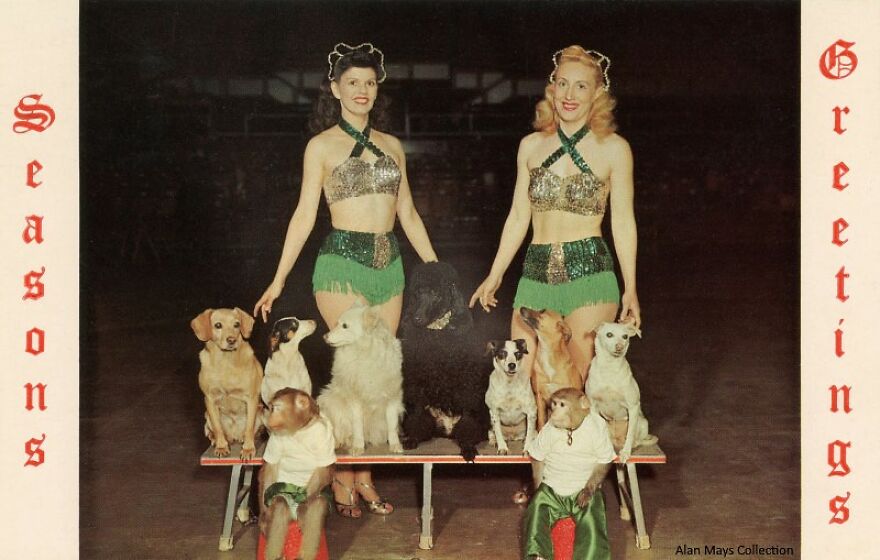 The Busy B's - A Novelty Dog And Monkey Show, 1965