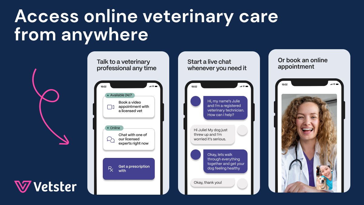 Online veterinary care app interface demonstrating dog-safe wipes guidance. Online veterinary care app interface demonstrating dog-safe wipes guidance.
