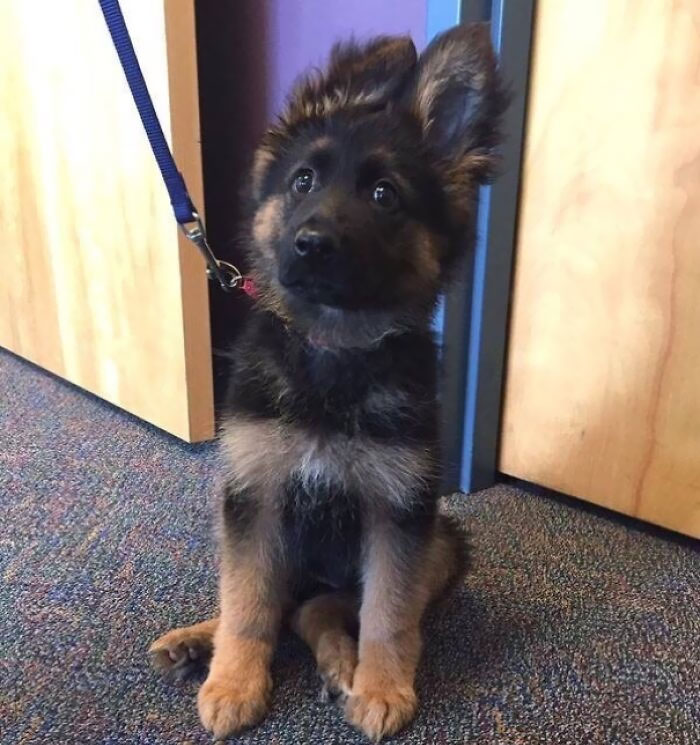 Our Local Police Department Posted This Photo Today To Help Bring In New Recruits