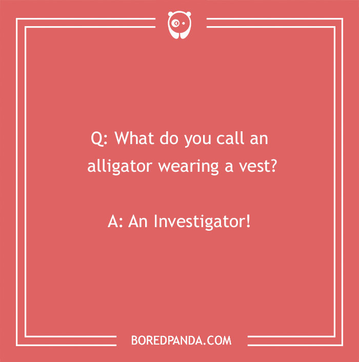 118 Wildly Amazing Animal Jokes