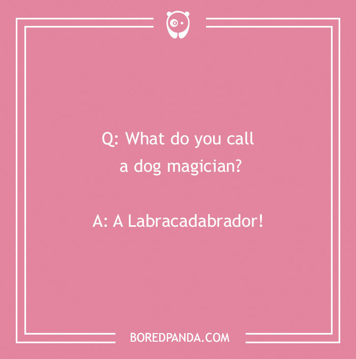 118 Wildly Amazing Animal Jokes