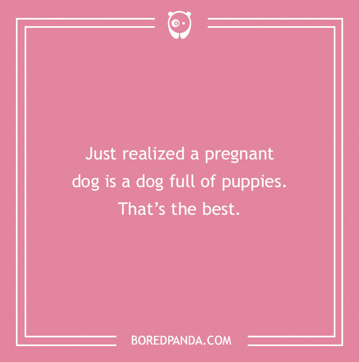 118 Wildly Amazing Animal Jokes