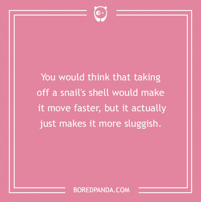 118 Wildly Amazing Animal Jokes