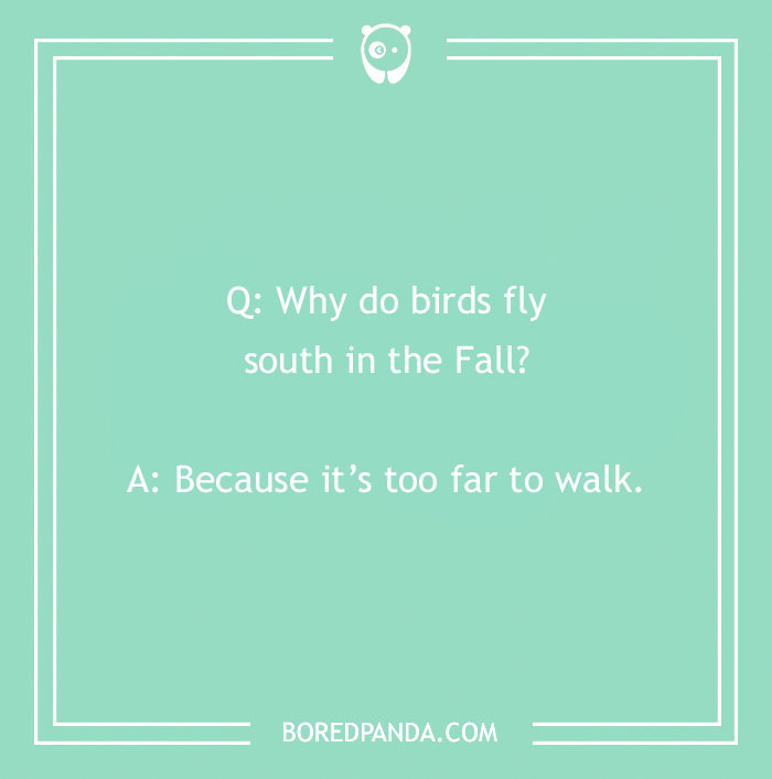 118 Wildly Amazing Animal Jokes