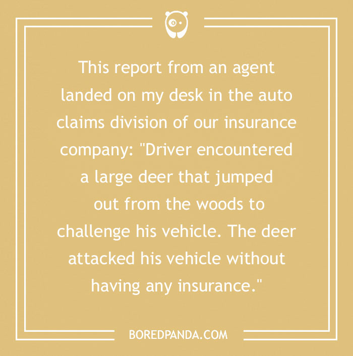 118 Wildly Amazing Animal Jokes