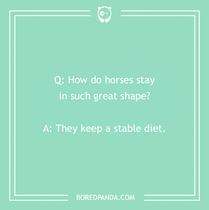 118 Wildly Amazing Animal Jokes