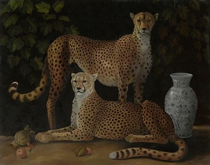 Two Cheetahs, Lizzie Riches 1950 